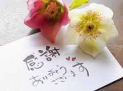 ドスケベ人妻　あさみ♡気取らないエロス