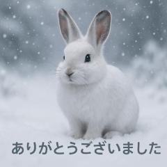 爆安＜元祖＞どすこい倶楽部　★体験まゆ★宮崎店