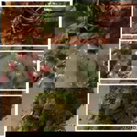 大人の遊園痴「スピーディー」　ゆう（美脚でスレンダー）