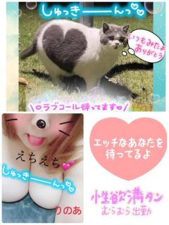 ぽちゃカワましゅまろ～GRINDグループ～　りのあ(都城店)