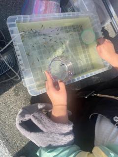 ぷにっ娘　結愛ﾕｱ