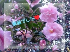 MANIN-ONREIマン淫御礼　