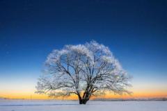 夕方なったね〜