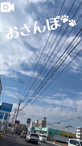 動いた｡｡｡"8-(*o･ω･)oﾄｺﾄｺ