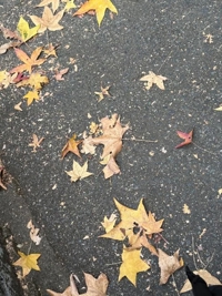 待ちナビ　ひなた