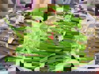 harmonyハーモニー　りお(rio)