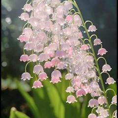 知ってた?=？🌸?