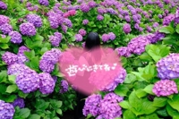 宮崎ちゃんこ都城店　むう