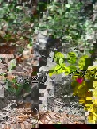 ポカポカしながらヌキヌキ？