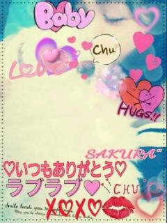  サクラSakura