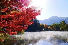 一夜の愛人　もか