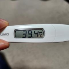 SLYスライ　くるみちゃん♪