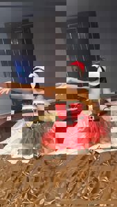 宮崎ちゃんこ中央通店　さくら