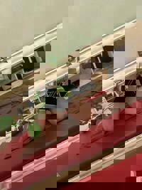 沖縄本舗　あずさ-AZUSA-