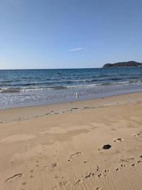 待ちナビ みさと 今日もいいお天気