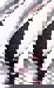 宮崎ちゃんこ中央通店　さな