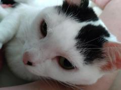 おはようございます(?????▽?????)