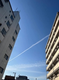 宮崎ちゃんこ都城店　こはる