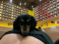 TheGrandPhoenix　ジェイ※爆乳Jカップ