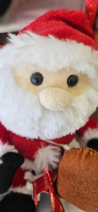 マドンナSANSAIN　りく