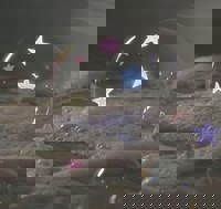 CLUB ULTRA　ほのか