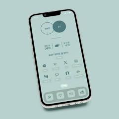 JaPON　環菜ｶﾝﾅ