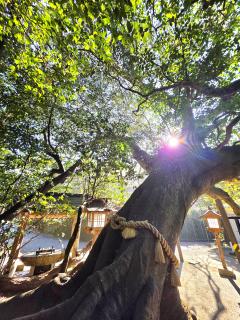 ベビードール　さとみ