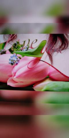 鹿児島ちゃんこ薩摩川内店 せいこ せいこ?