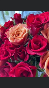 宮崎ちゃんこ都城店　ももこ