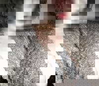 宮崎ちゃんこ中央通店　ある