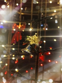 鹿児島ちゃんこ 霧島店　おとは