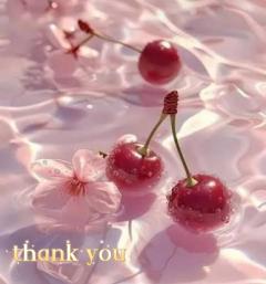 Roots(ルーツ)　フリーコース