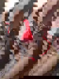 LOHAS(ロハス)　りん