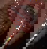 CLUB ULTRA　ほのか