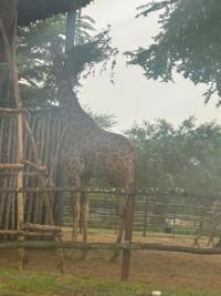 待ちナビ　しょう