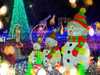 鹿児島ちゃんこ 霧島店　