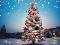 待ちナビ　いろは