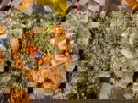 Liberty(リバティ)　