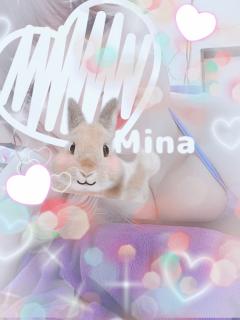 MICHELIN ミシュラン　ミナ(MINA)