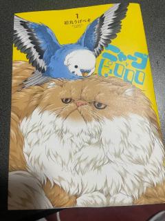 Roots(ルーツ)　フリーコース