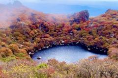 一夜の愛人　もか