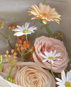 CLUB LUMINE　Kurumi【くるみ】