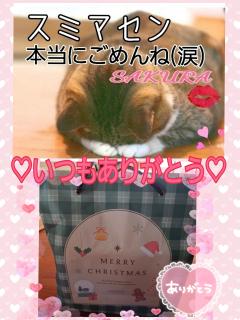 MICHELIN ミシュラン　サクラSakura