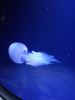 鹿児島天文館デリヘルLOVEVE～ラヴィーヴ～　