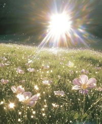 フェアリー【鹿児島店】　