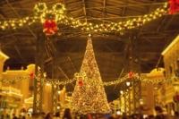 花の都～人妻の都～延岡店　あゆ