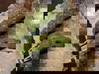 大人の遊園痴「スピーディー」　えみ（爆乳エロ娘）