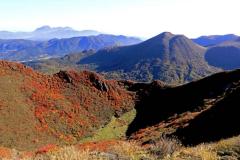 一夜の愛人　もか