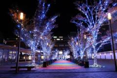 人妻24時　しずく