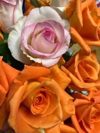 宮崎ちゃんこ都城店　